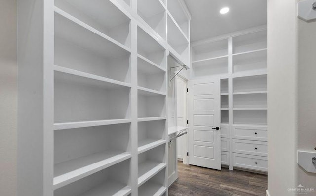 walk in closet with dark wood-type flooring