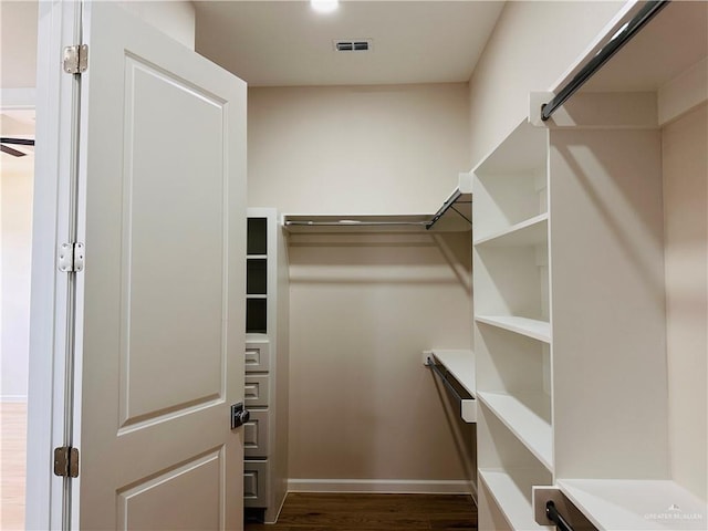 walk in closet with visible vents and dark wood-type flooring