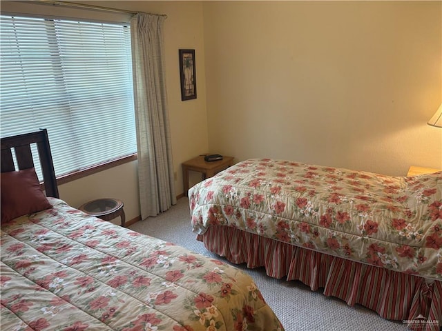 bedroom featuring multiple windows and light carpet