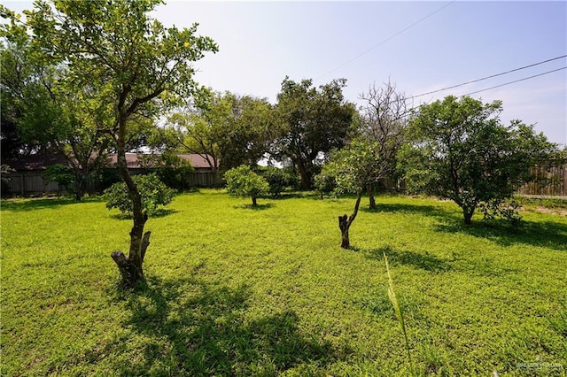 603 S Alamo Rd, Alamo, TX 78516 - view of yard featuring fence