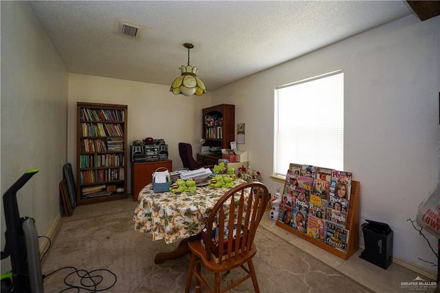 603 S Alamo Rd, Alamo, TX 78516 - carpeted dining space featuring a healthy amount of sunlight, a textured ceiling, and visible vents