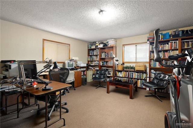 office with carpet floors and a textured ceiling