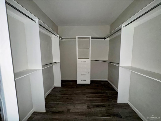 8706 Pink Flamingo St, Harlingen, TX 78552 - walk in closet with wood finished floors