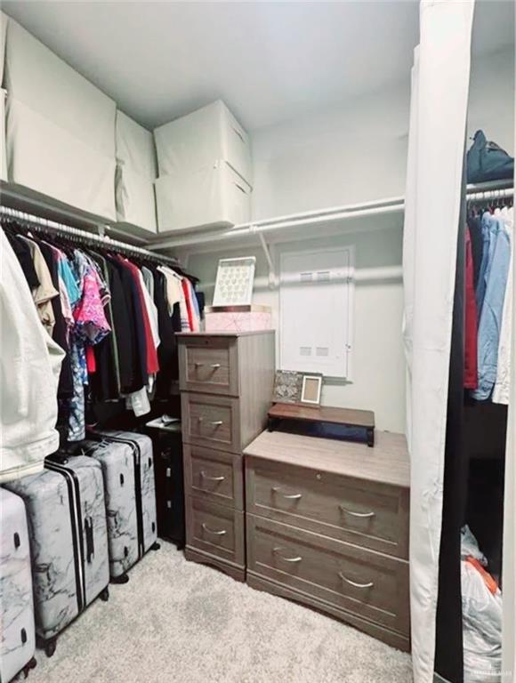 spacious closet featuring light carpet