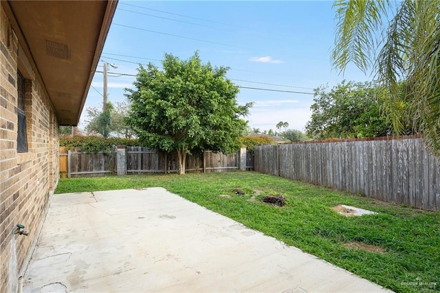 view of yard featuring a patio area