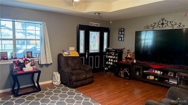 living room with wood-type flooring