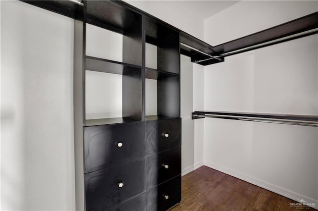 spacious closet with dark hardwood / wood-style floors