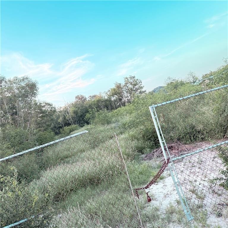 711 W Saint Francis Ave, Alton, TX 78573 - photo 1