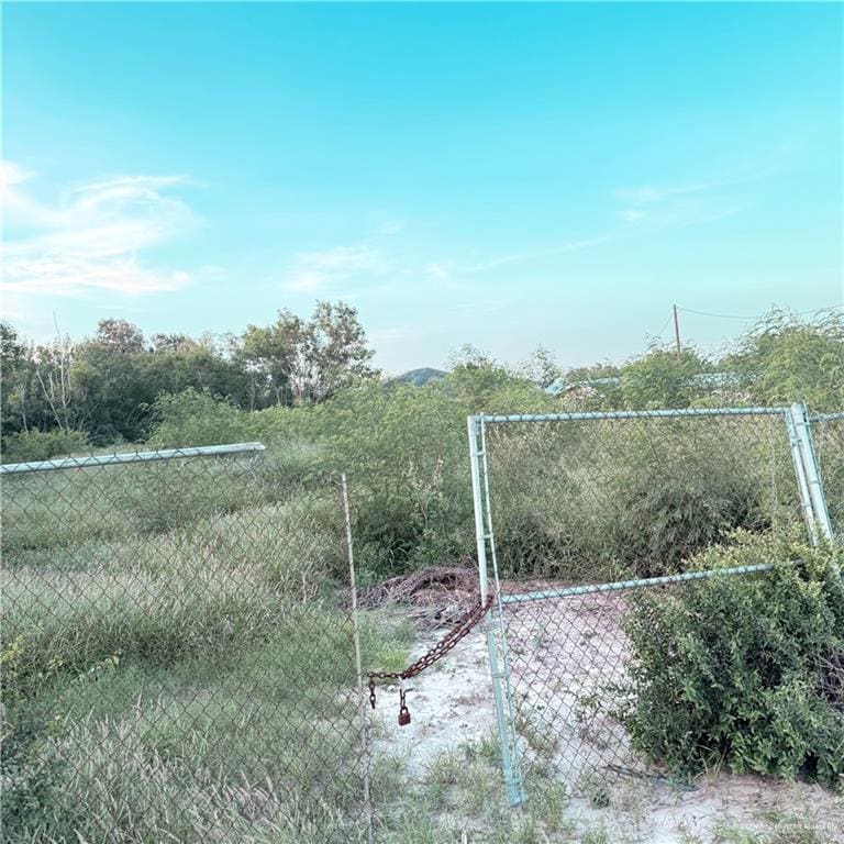 711 W Saint Francis Ave, Alton, TX 78573 - photo 2