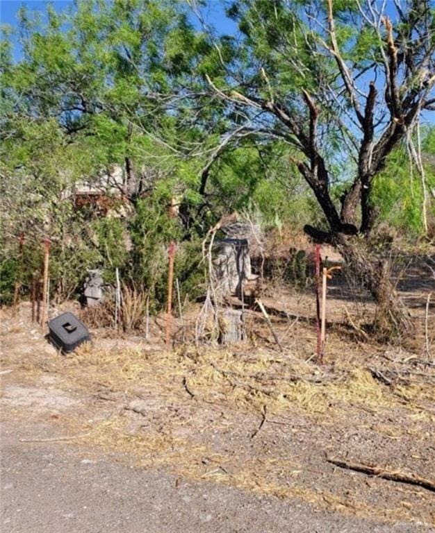 7 N Ebony Ave, Roma TX, 78584 land for sale