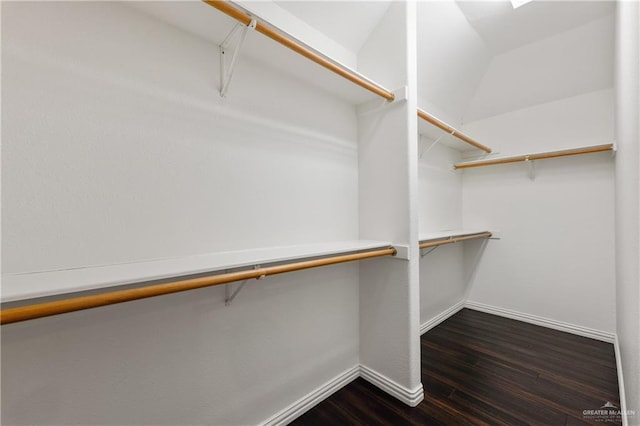 spacious closet featuring lofted ceiling and dark wood-type flooring