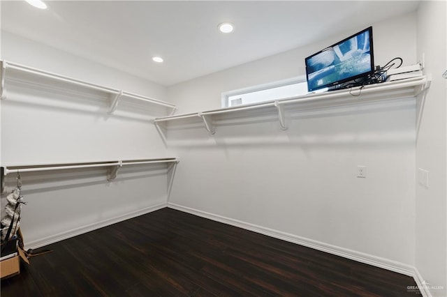 spacious closet featuring wood-type flooring