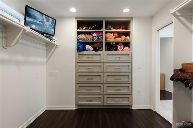 walk in closet with dark hardwood / wood-style flooring