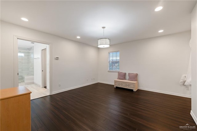 spare room featuring wood-type flooring