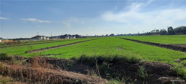 view of yard with a rural view