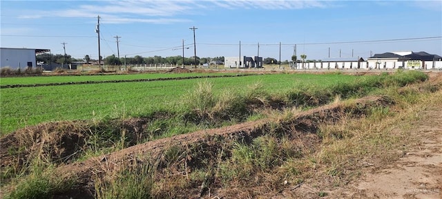 view of yard with a rural view