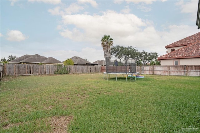 2008 S Erica St, Pharr, TX 78577 - view of yard with a trampoline