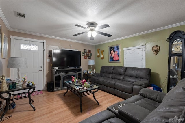 1914 W Barcelona Ave, Harlingen, TX 78550 - living room with crown molding, a textured ceiling, ceiling fan, light wood-style flooring, and visible vents