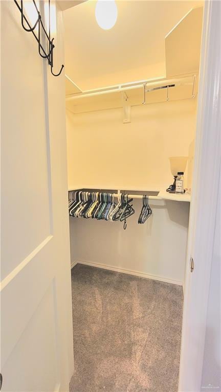 spacious closet featuring carpet floors