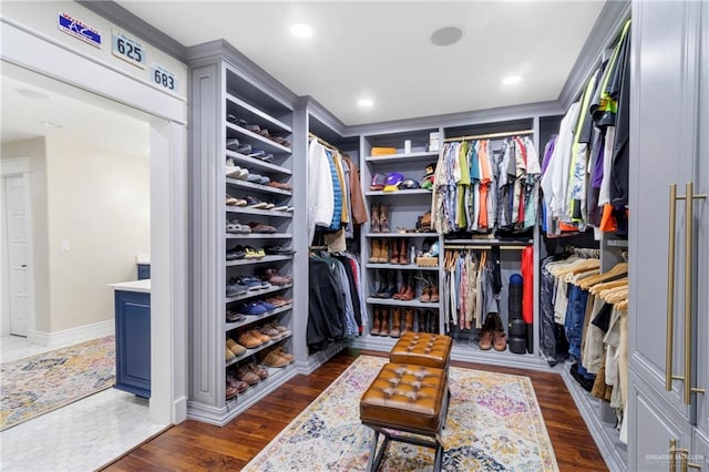 spacious closet featuring dark hardwood / wood-style floors