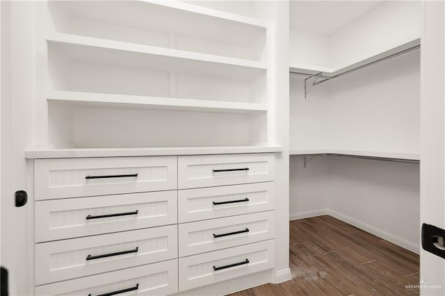 spacious closet featuring dark wood finished floors