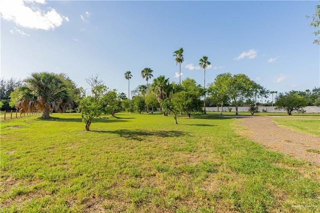 view of home's community with a lawn