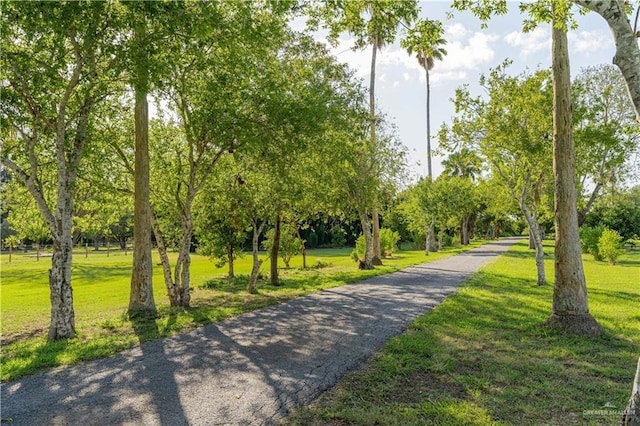 view of community featuring a yard