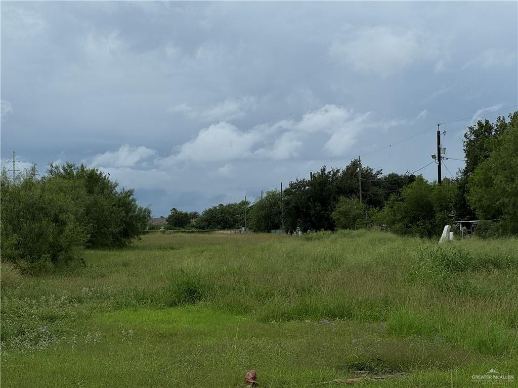 3202 W Rogers Rd, Edinburg, TX 78541 - photo 1