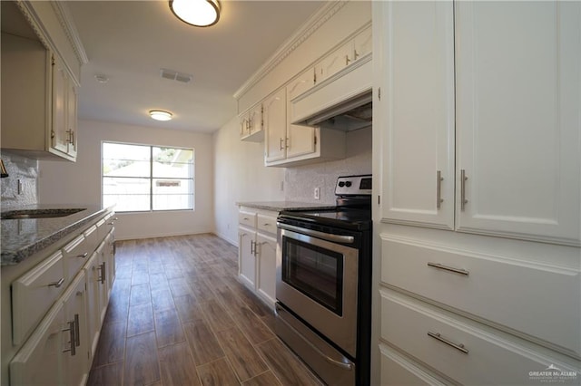 kitchen with sink, light stone counters, dark hardwood / wood-style flooring, stainless steel electric stove, and custom range hood