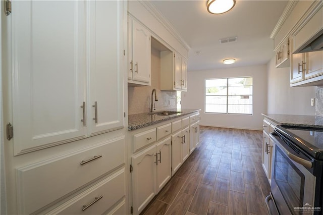 kitchen with white cabinetry, light stone counters, sink, and dark wood-type flooring