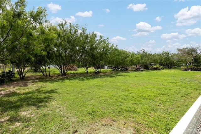 7100 N 56th St N, Mcallen, TX 78504 - photo 43