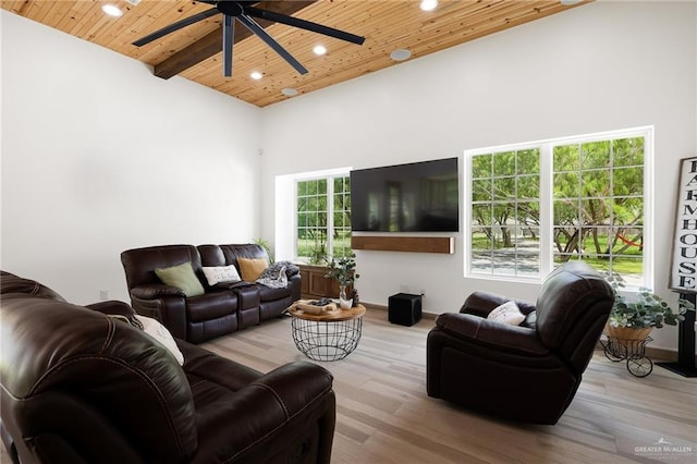 7100 N 56th St N, Mcallen, TX 78504 - photo 10