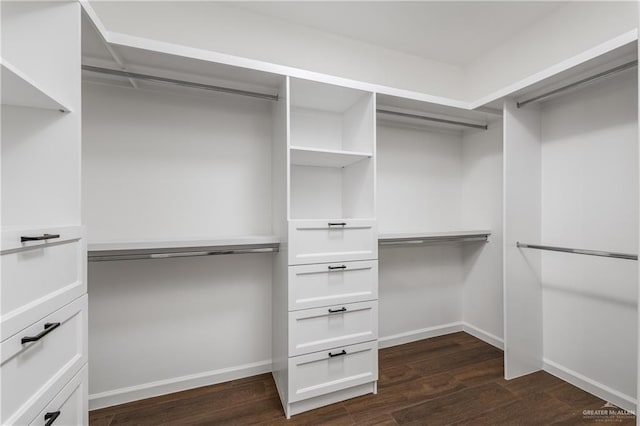 spacious closet with dark hardwood / wood-style flooring