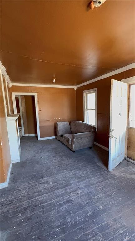 interior space with wood finished floors and crown molding