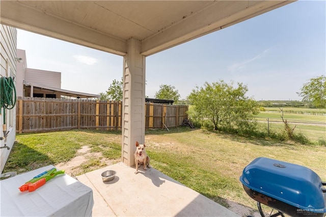 view of yard featuring a patio area and a fenced backyard