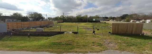 8411 Mateo Escobar St, Monte Alto TX, 78538 land for sale