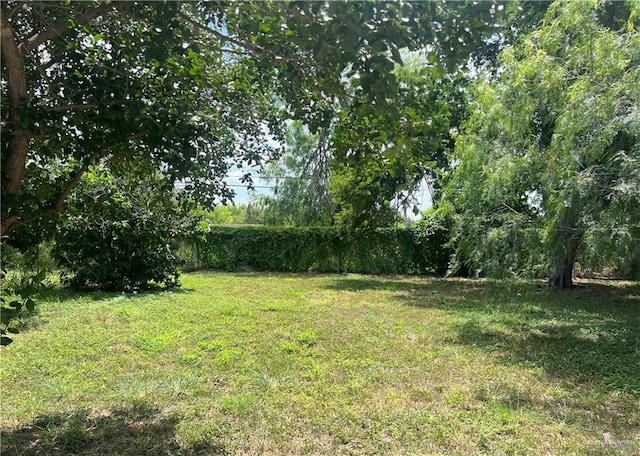 1044 S Florida St, Mercedes, TX 78570 - photo 34