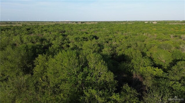 1025 N Iowa Rd, Edinburg, TX 78542