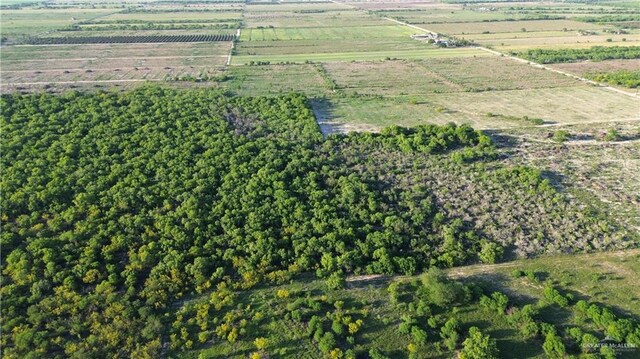 1025 N Iowa Rd, Edinburg, TX 78542