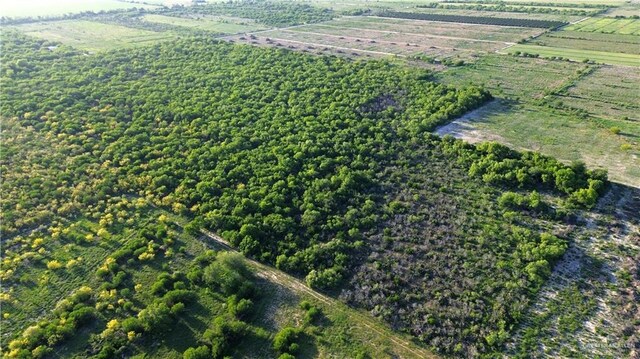 1025 N Iowa Rd, Edinburg, TX 78542