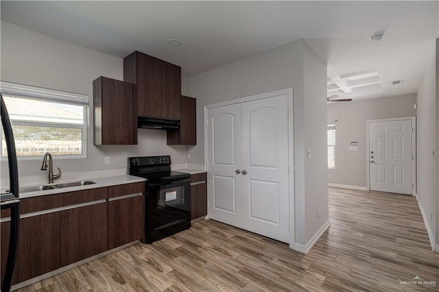 kitchen featuring dark brown cabinets, black range with electric stovetop, sink, and light hardwood / wood-style flooring