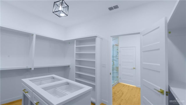 spacious closet featuring light wood-type flooring