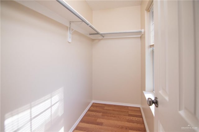 spacious closet featuring hardwood / wood-style flooring