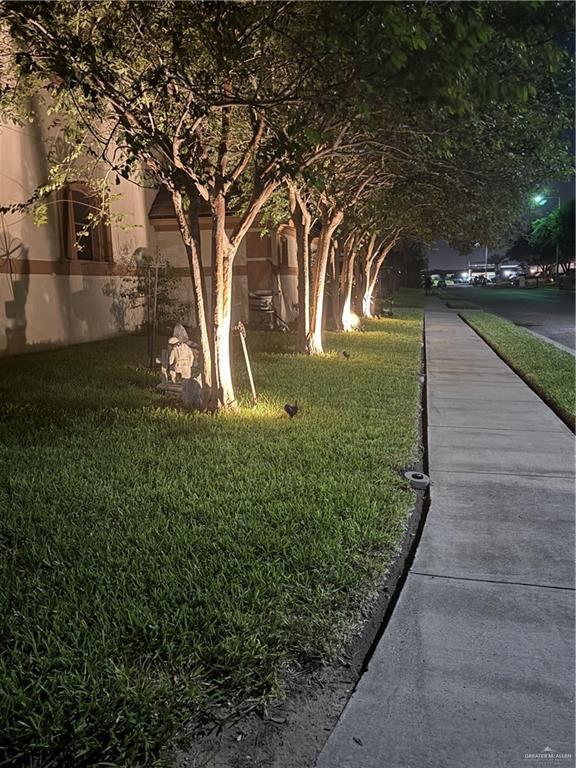 3103 Brightwood Ave, Edinburg, TX 78539 - photo 33