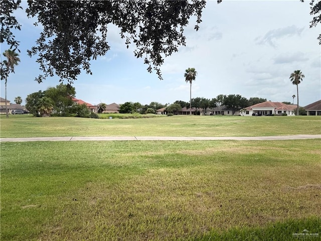 2612 Ashley Dr, Pharr, TX 78577 - view of property's community featuring a lawn