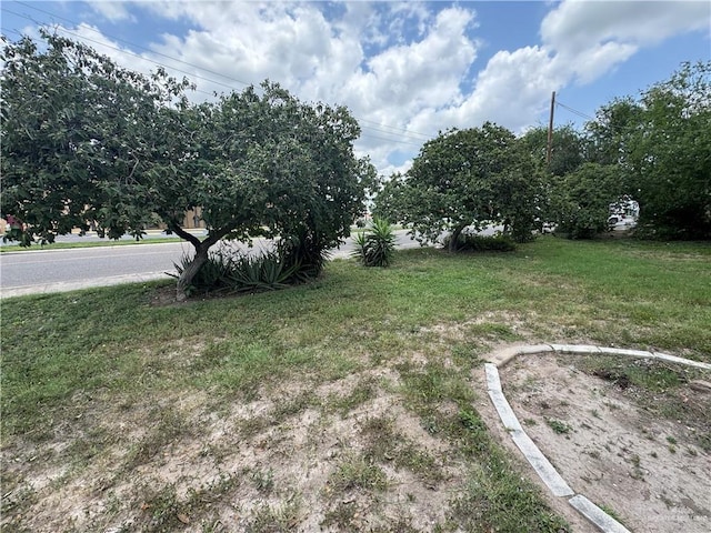 814 N Pino St, Weslaco, TX 78596 - view of grassy yard