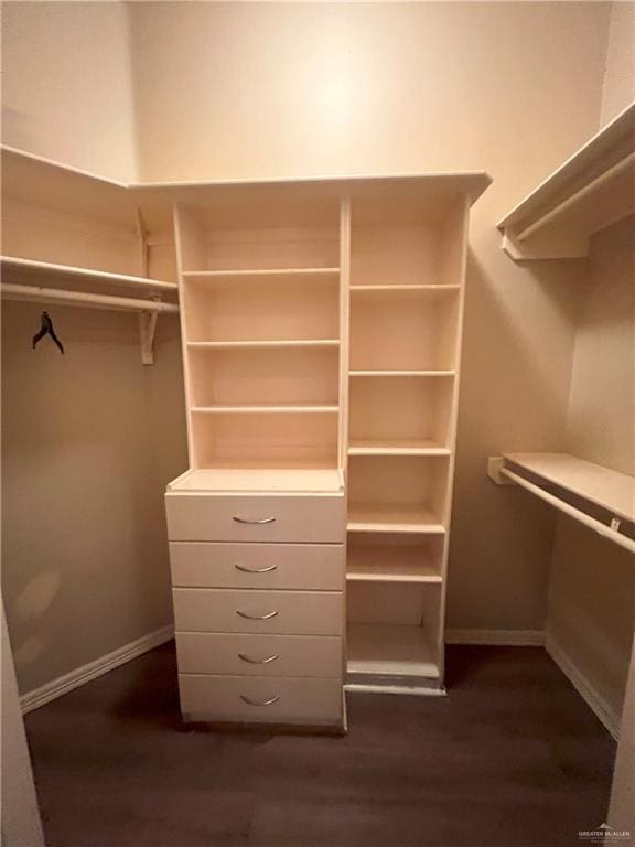 spacious closet with dark hardwood / wood-style flooring