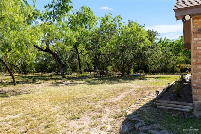1612 W Military Hwy, Mission, TX 78572 - view of yard