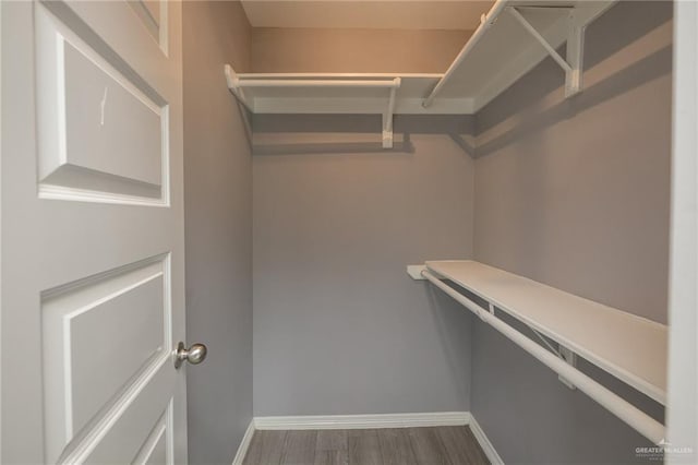 17236 Mandarin Ave, Harlingen, TX 78552 - walk in closet with wood finished floors