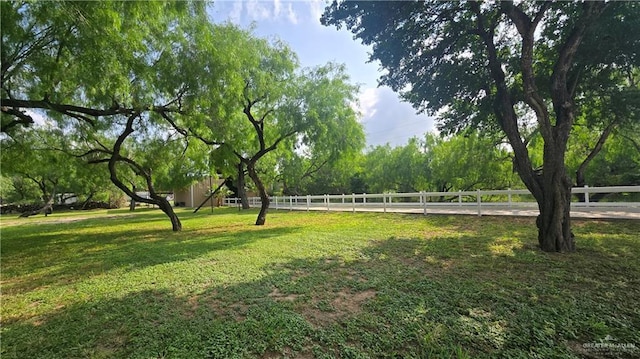 9325 W Mile 8 Rd, Mission, TX 78573 - view of yard